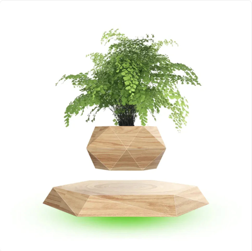 Magnetic Floating Bonsai Planter