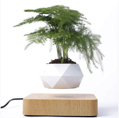 Magnetic Floating Bonsai Planter