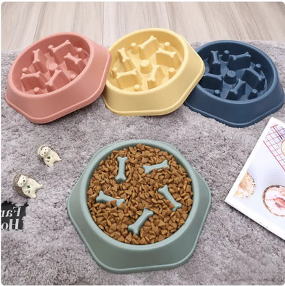 Slow Feeder Dog Bowl